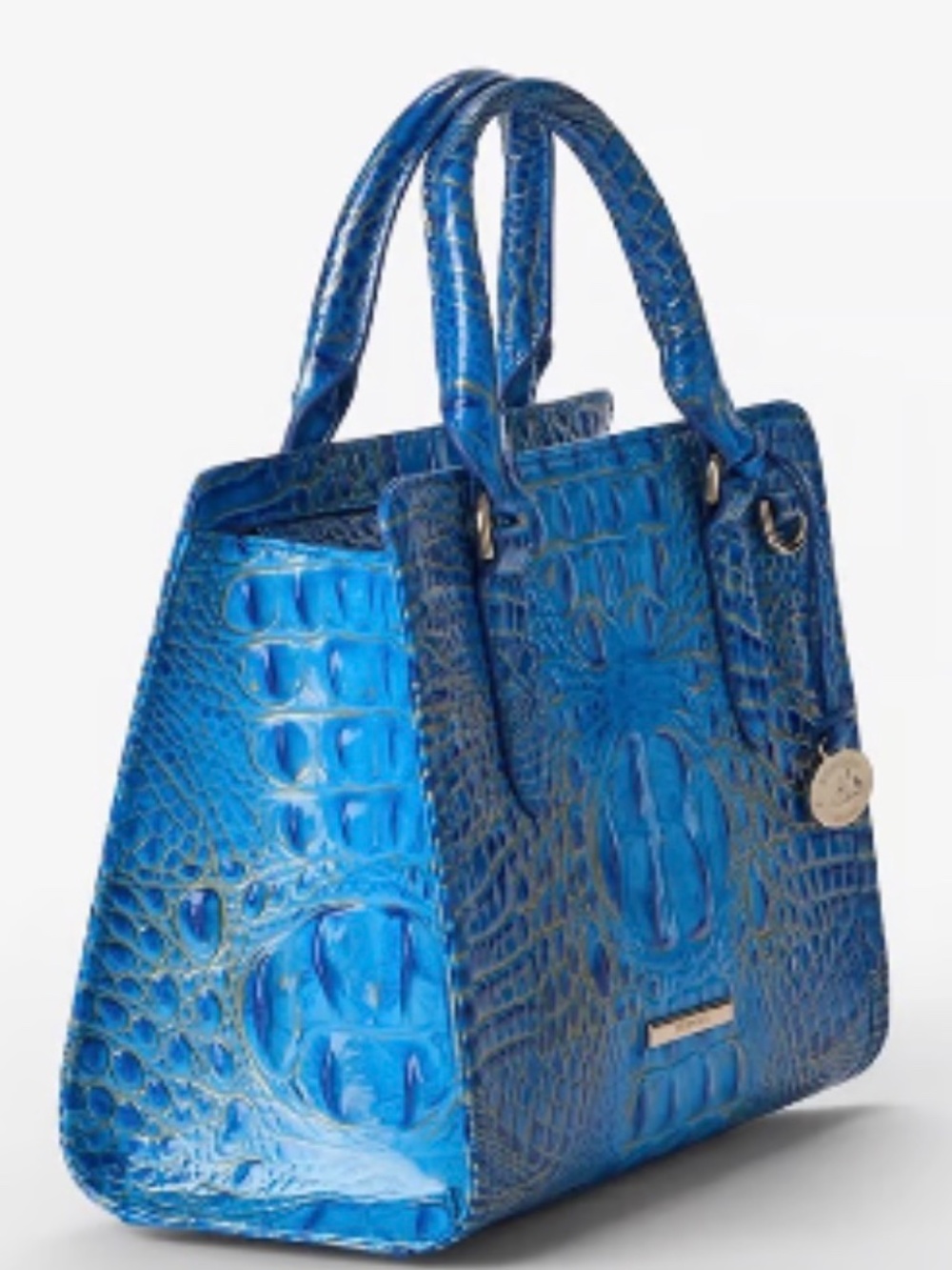 NWT - Brahmin Cami featured in Electric Indigo Melbourne Ombre